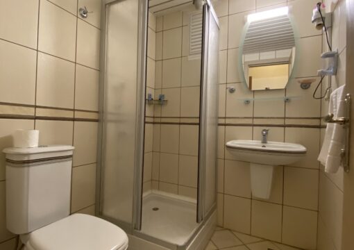 Nature View Room