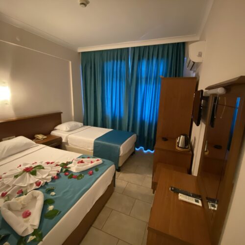 Nature View Room