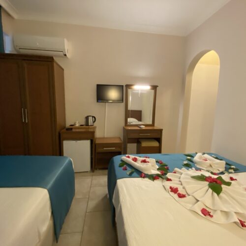 Nature View Room