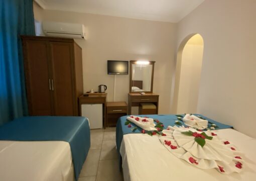 Nature View Room