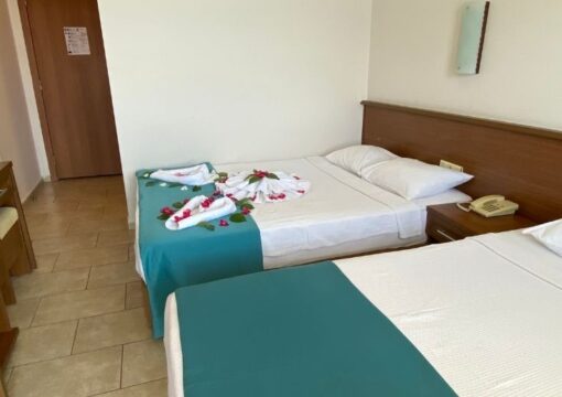 Nature View Room