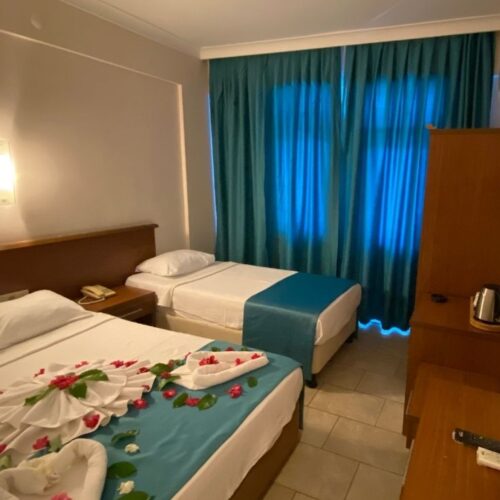Nature View Room